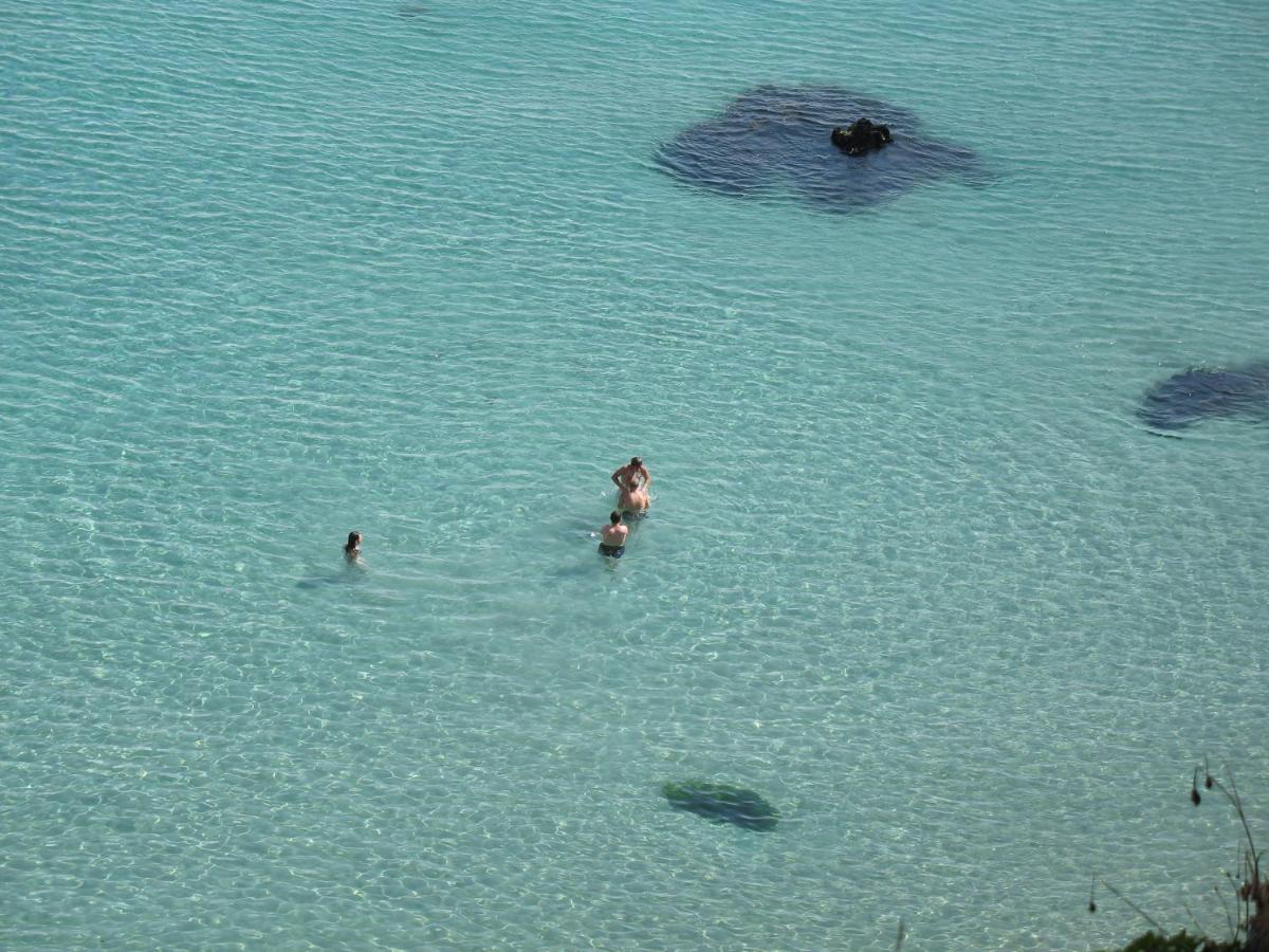 Le Dixmude, Appartement Proche Plage De Morgat Κροζόν Εξωτερικό φωτογραφία